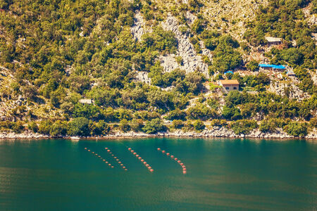 Nice mountain and sea view  Kotor  Montenegroの写真素材