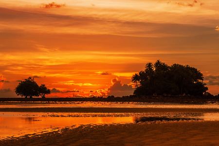 Tropical beach in ebb time on sunset backgroundの写真素材