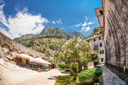 Fish-eye lens look of the old city on sky background  Kotor  Montenegroの写真素材
