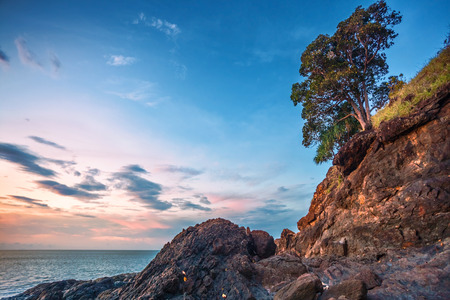 Rocks at topical beach at beautiful sunset. Nature backgroundの写真素材