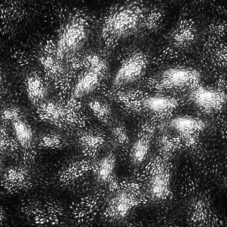 Digital abstract fractal background generated at computer in black and white.の写真素材