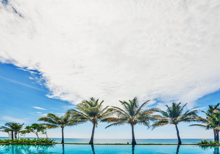 reflections of palms in the pool under blue sky