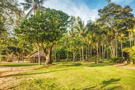 Tropical garden with palm trees near the sea.の写真素材