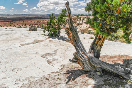 Great travel landscape of Utah state. USAの写真素材
