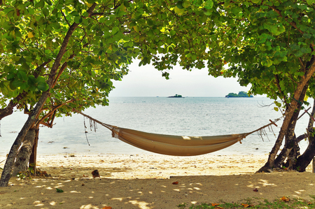 An empty hammock on a tropical beachの写真素材