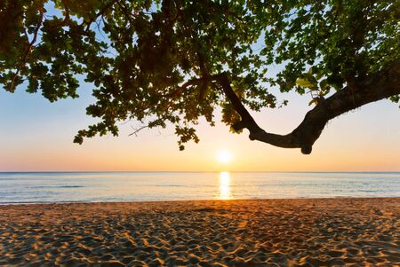 Tropical beach at beautiful sunset. Nature backgroundの写真素材