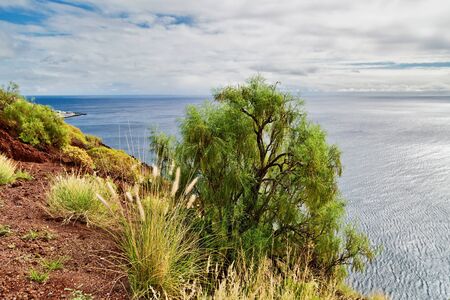 Rock with plants with sea view and gloomy sky. Tenerife, Canary Islands, Spain の写真素材