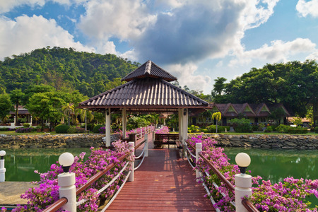 bridge with pink flowers across the river の写真素材