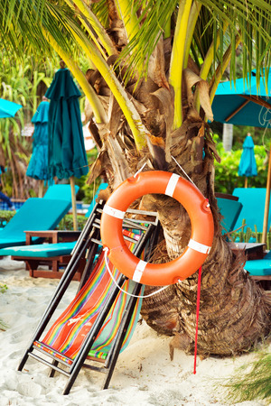 Lifebuoy on palm tree at the beachの写真素材