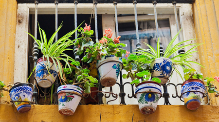 window decorated with pots flowers. Malaga. Spainの写真素材
