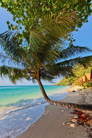 Beautiful tropical beach with  sea view, clean water & blue sky. Nature backgroundの写真素材