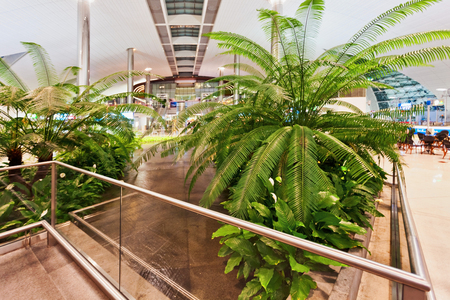 DUBAI, UNITED ARAB EMIRATES - NOVEMBER 7, 2009: Futuristic interior of international airport of Dubai. Dubai airport has a maximum capacity of 60 million passengers, 2.1 million tons of cargo per yearのeditorial素材