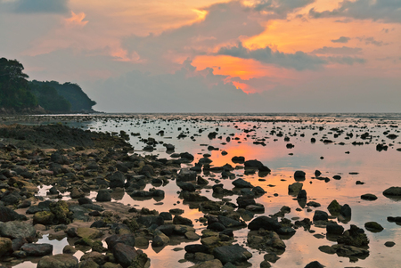 Tropical beach in ebb time on sunset backgroundの写真素材