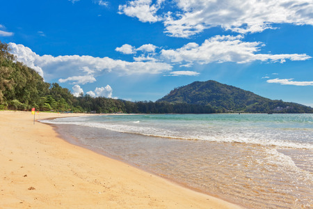 fisheye view on beach with palms under blue sky の写真素材
