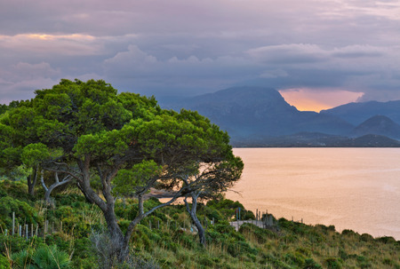 Landscape with sunset at S`illot, Bay of Pollenca near Alcudia. Mallorca. Balearic islands. Spainの写真素材