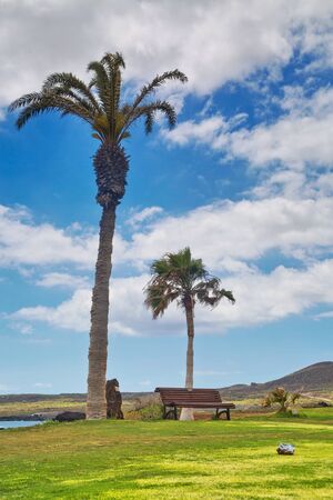 Golf course. Beautiful landscape of a golf court with palm trees on ocean background. Tenerife island. Canary. Spainの写真素材