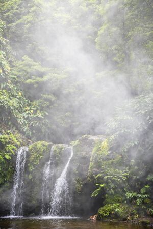 Majestic waterfall in lush foggy green forest at Nature Reserve Parque Natural da Ribeira dos...