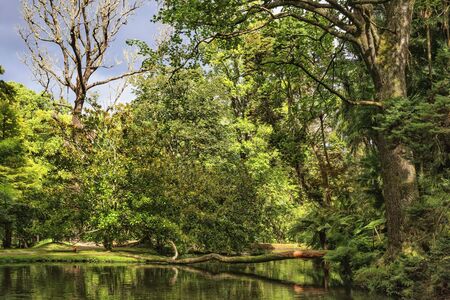Enchanting Terra Nostra Botanical Garden in Furnas, Sao Miguel Island, Azores, Portugal