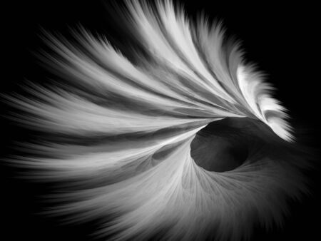 Digital abstract fractal background generated at computer in black and white.の写真素材