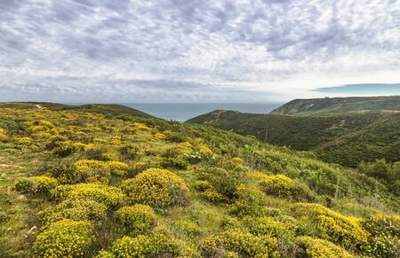 Beautiful landscape with a green valley surrounded by low mountains. Algarve. Portugal.の写真素材