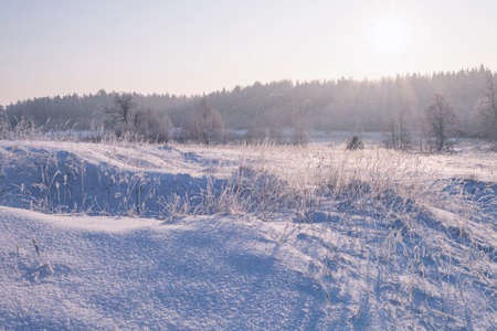winter landscape with field at sunset.