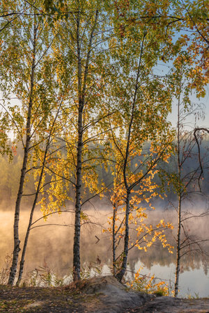 Beautiful Autumn Fall landscape over foggy misty lakeの写真素材