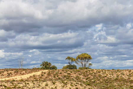 Desert landscape near Meia Praia beach in Lagos, Algarve, Portugalの写真素材