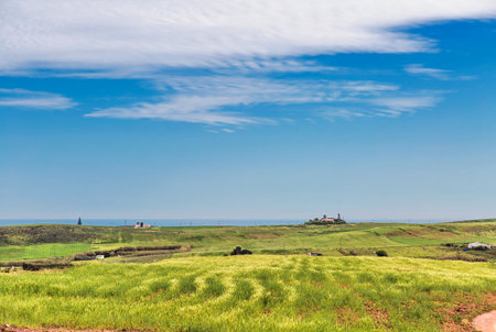 Algarve Coast landscape with green field under blue sky. Portugalの写真素材