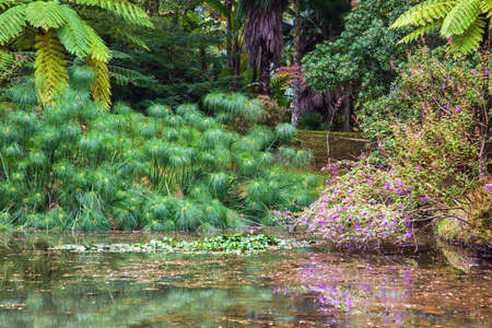 Enchanting Terra Nostra Botanical Garden in Furnas, Sao Miguel Island, Azores, Portugalの写真素材