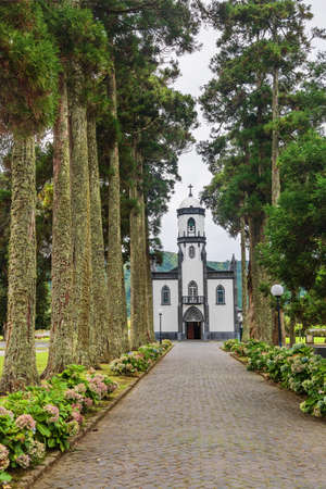Beautiful church of Sao Nicolau (Saint Nicolas) with an alley of tall trees and hydrangea flowers in Sete cidades on Sao Miguel island, Azores, Portugalの写真素材