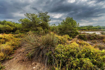 Landscape under gloomy sky, Es Trenc beach, Ses Salines, Mallorca island, Spain Mediterranean Sea, Balearic Islands.の写真素材