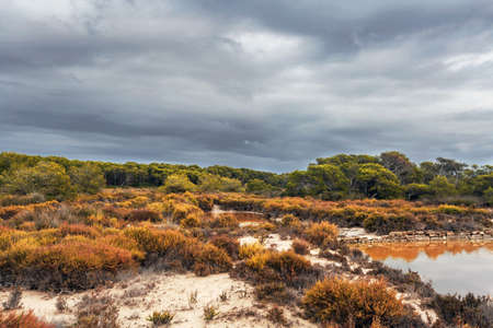 Landscape under gloomy sky, Es Trenc beach, Ses Salines, Mallorca island, Spain Mediterranean Sea,...