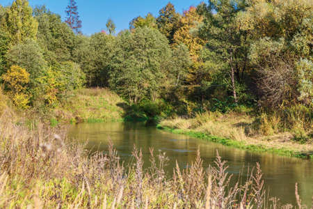 Summer river near the forest in sunlight landscapeの写真素材
