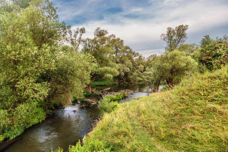 Summer river near the forest in sunlight landscapeの写真素材