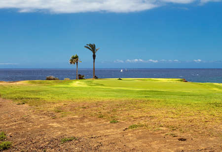Golf course. Beautiful landscape of a golf court with palm trees on ocean background. Tenerife island. Canary. Spainの写真素材