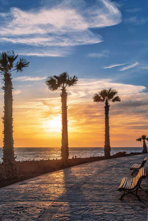 Stone pavement with palms along the sea at sunset. Tenerife. Canary Islands. Spainの写真素材