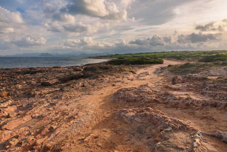 Seacoast near Can Picafort beach in sunset time, Mallorca, Balearic islands, Spainの写真素材