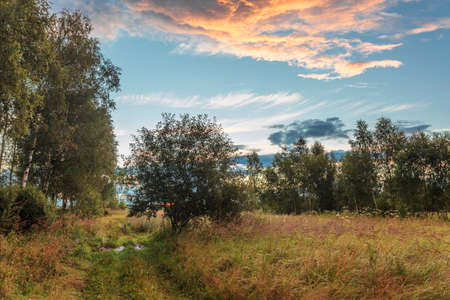 Path in a summer field in sunset time. Nature backgroundの写真素材