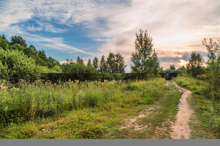 Path in a summer field in sunset time. Nature backgroundの写真素材