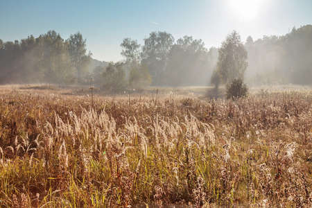 Autumn landscape with fog and a sunrise. Nature backgroundの写真素材