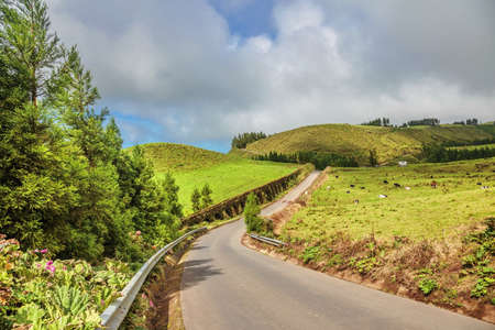 Road is leading through green hills landscape on the island of Sao Miguel, Azores, Portugalの写真素材