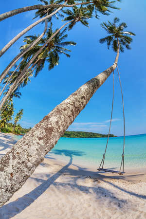 Wooden swing hanging from a palm tree on the beach. Koh Kood island. Thailand.の写真素材