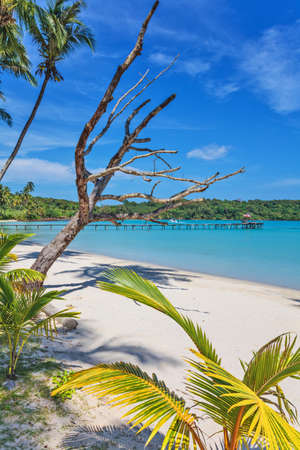Tropical sea shore of the Bang Bao beach. Koh Kood island, Trat Thailandの写真素材