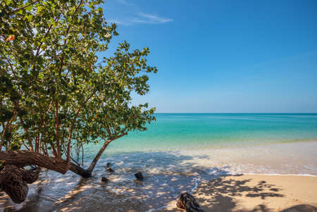 White sand beach at Koh Chang island. Thailand.の写真素材