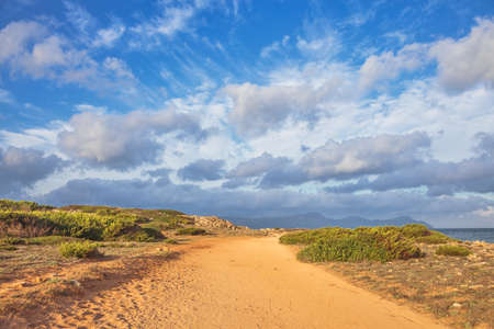 Walkway at seacoast near Can Picafort beach in sunslight, Mallorca, Balearic islands, Spainの写真素材