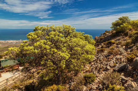 Panoramic view of Costa del Sol from the top of Calamorro mountain, Benalmadena, Andalusia province, Spain.の写真素材