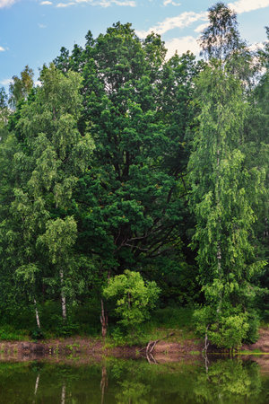 Beautiful lake in the woods, forest lake with green water. Nature backgroundの写真素材