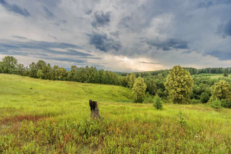 Summer field under overcast sky with clouds. Nature backgroundの写真素材