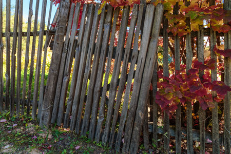 Old grunge fence of wood trunks, abstract backgroundの写真素材