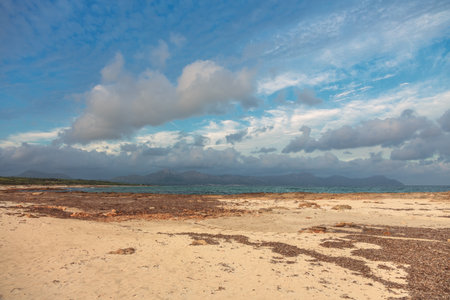 Seacoast near Can Picafort beach in sunset, Mallorca, Balearic islands, Spainの写真素材